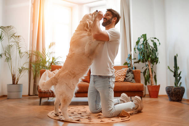 Couple with dog at home stock photo