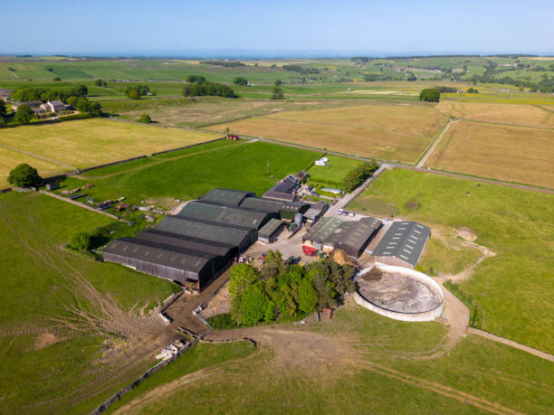 istock Farm on countryside by drone 1494578699