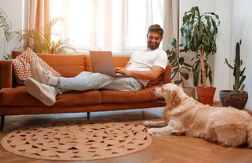 Handsome bearded man sitting on sofa by window with laptop along with labrador dog lying on floor while freelancing online, shopping or chatting in living room at home.