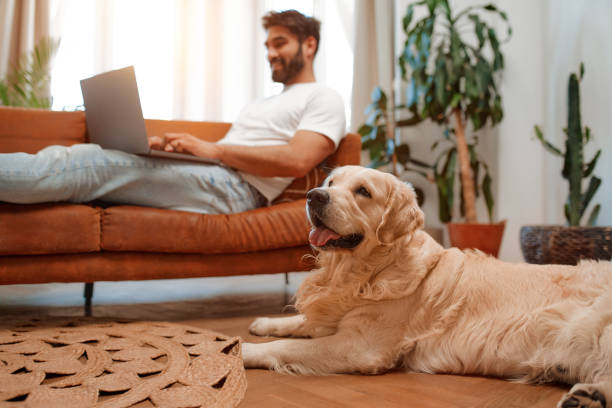 istock Couple with dog at home 1494578737