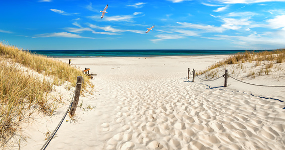 Vista panorámica de una playa de dunas en el Mar Báltico photo