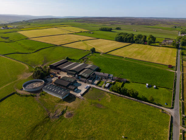 istock Farm on countryside by drone 1494580211