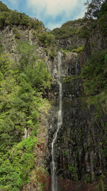 Secret waterfall in the mountain forest vertical video