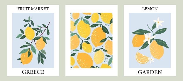 Abstract contemporary posters with lemons fruits design, aesthetic minimalist backgrounds set, modern trendy wall decoration