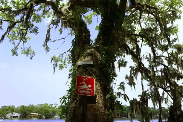 Photo of “No Swimming” Sign Next to Florida Lake