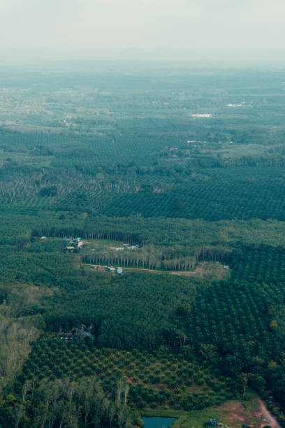 istock Landscape view on mountains and fields with vegetation, from Tiger Cave Temple ( Wat Tham Suea) in Krabi, Thailand. 1494580625