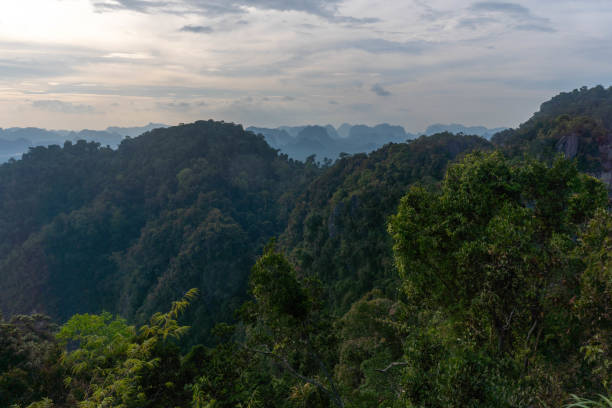 istock Landscape view on mountains and fields with vegetation, from Tiger Cave Temple ( Wat Tham Suea) in Krabi, Thailand. 1494580764
