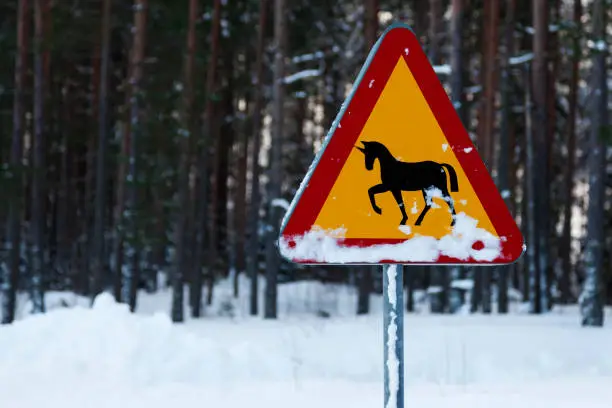 warning for unicorns as a traffic sign in snow
