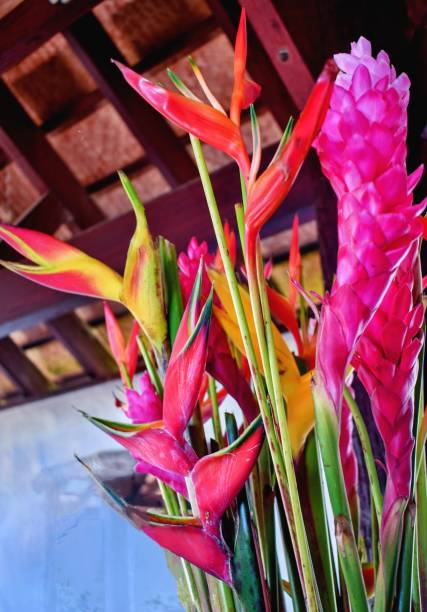 istock Asian And Caribbean Floral Display 1494584320