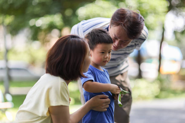istock Son enjoying refreshments with parents in the park 1494584418