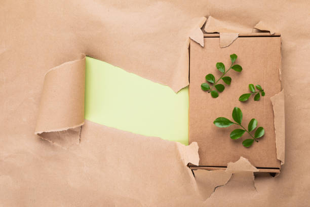 istock Eco cardboard box top view. Plastic free, zero waste and eco package with blank space. 1494584440