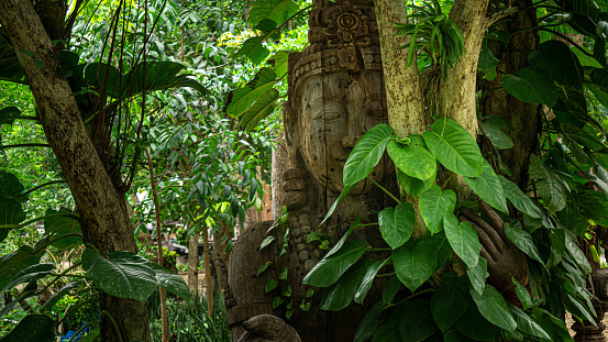 Sculpture hidden in the vegetation truth sanctuary in Pattaya, Thailand