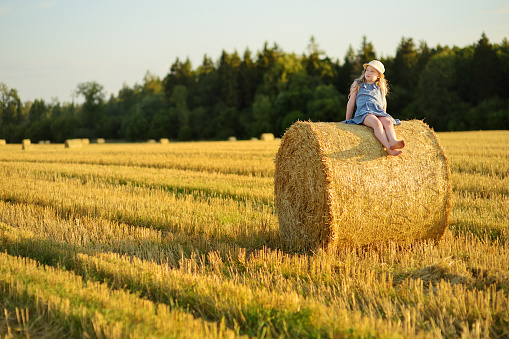 Adorable young girl having fun in a wheat field on a summer day. Child playing at hay bale field during harvest time. Kid enjoying warm sunset outdoors. Harvesting crops in Lithuania.