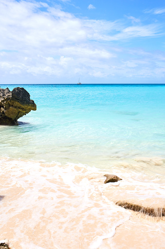 Palm Beach Aruba Caribbean, white sandy beach with palm trees and a blue ocean at Aruba Antilles.