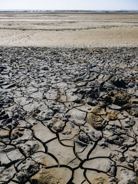 istock Dry cracks in the earth on a cloudy day in Camargue 1494589043