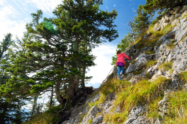 simpatici piccoli escursionisti che godono di viste pittoresche dal monte tegelberg, una parte delle alpi dell'ammergau, situato vicino alla città di füssen, in germania. - allgau bavaria mountain horizon foto e immagini stock