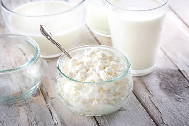 Productos lácteos - leche, crema, yogur, requesón - foto de stock