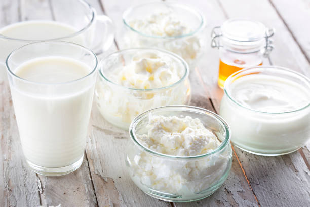 Dairy products - milk, cream, yoghurt, cottage cheese and curd