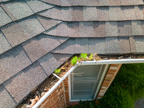 Small trees begin growing in metal gutters clogged with leaves and debris on a red brick residental house.