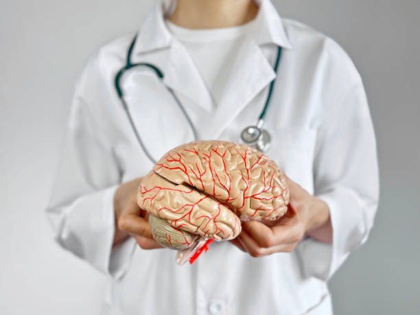 istock Doctor monitoring a human brain 1494601097