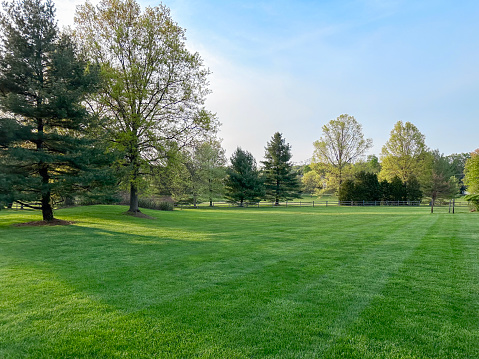 Wide angle shot park with grass and trees on a sunny day