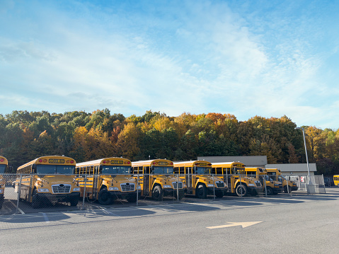School buses in a parking lot