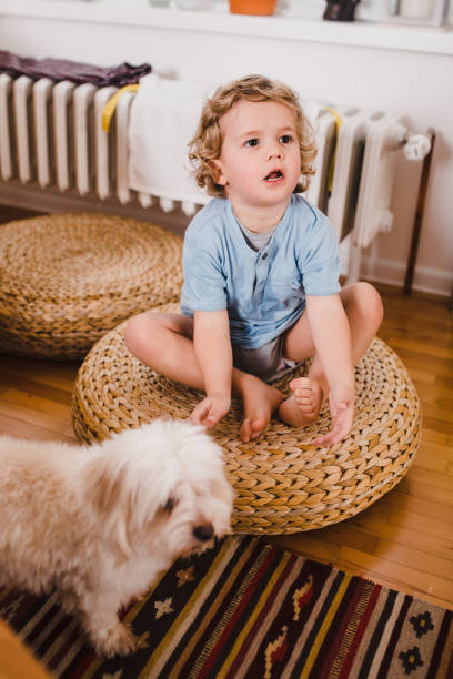 istock Toddler sitting next to his dog 1494605536
