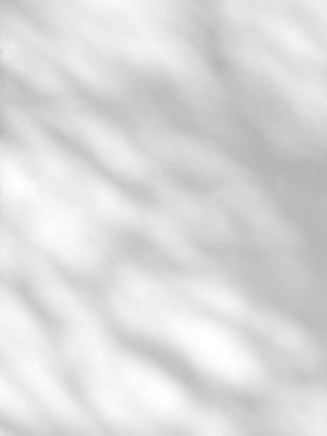 istock Abstract shadow of leaves on a white wall background 1494606172