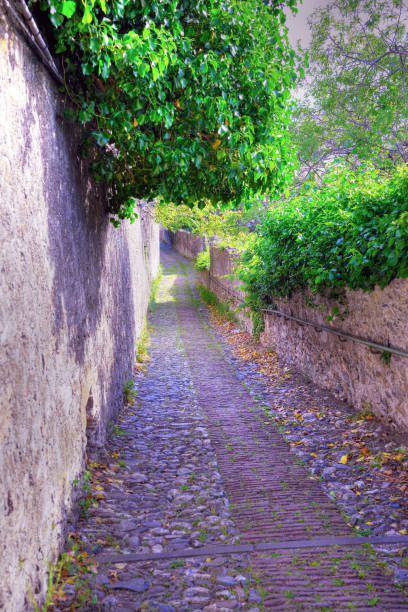 istock genoa liguria italy 1494606271