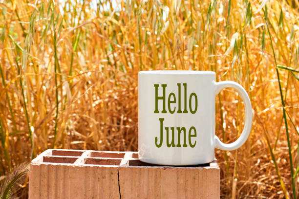 istock hello June concept on white coffee mockup cup above brick with spike background 1494608384