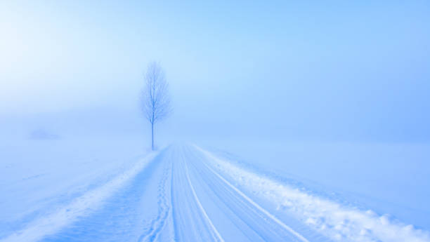 Field road on a very cold winter day. Old barn can be seen trough the fog on the left
