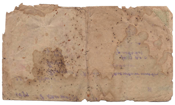 istock Vintage background of old paper texture isolated 1494619925