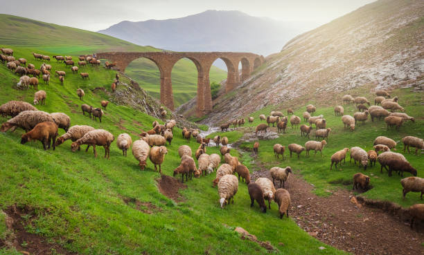 An ancient bridge built by the Siemens brothers in Azerbaijan