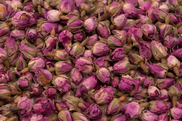 istock Dry tea roses isolated on white background. 1494621712