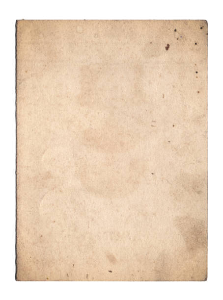 istock Vintage background of old paper texture isolated 1494622030