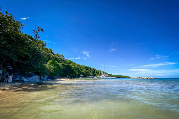 живописный вид на пляж даннс-ривер, ямайка - waterfall tropical rainforest water jamaica стоковые фото и изображения
