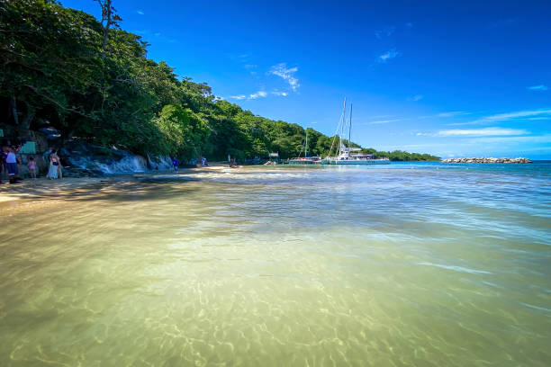 живописный вид на пляж даннс-ривер, ямайка - waterfall tropical rainforest water jamaica стоковые фото и изображения