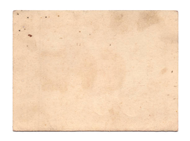 istock Vintage background of old paper texture isolated 1494623498