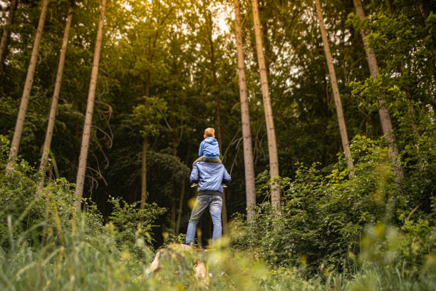 istock Father son child spending time hiking together in nature. 1494624414