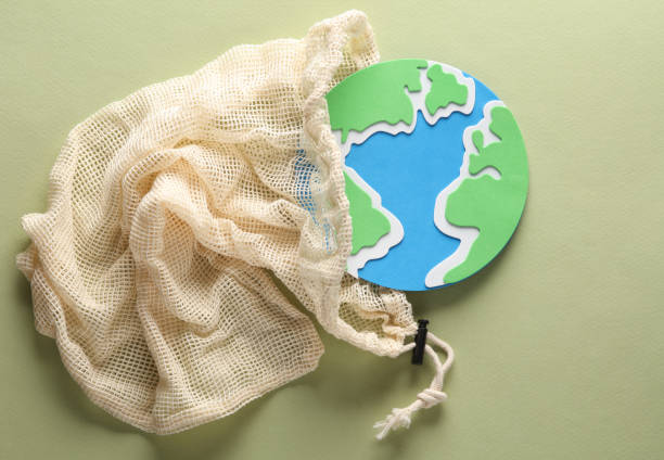 istock Eco bag with earth planet on green background. Plastic free 1494625256