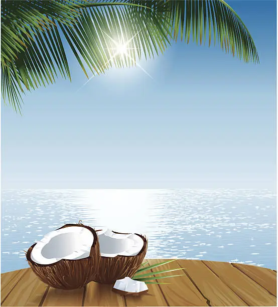 Vector illustration of Coconuts on Table Ocean and Palmleaves