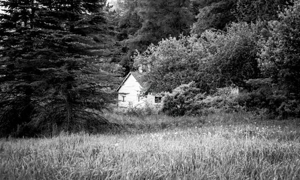 pequeña casa blanca enclavada en los árboles, blanco y negro - house appalachian mountains architectural feature architectural styles fotografías e imágenes de stock