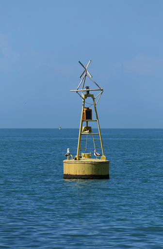 a yellow buoy and a seagull sitting on it