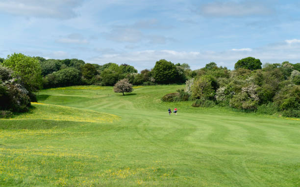 istock Unidentified golfers dwarfed in large public parkland. Beverley, UK. 1494633902