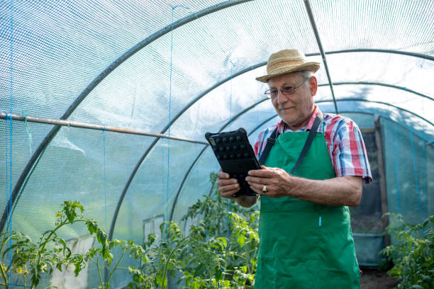 istock An elderly man with a tablet in a greenhouse. 1494634409