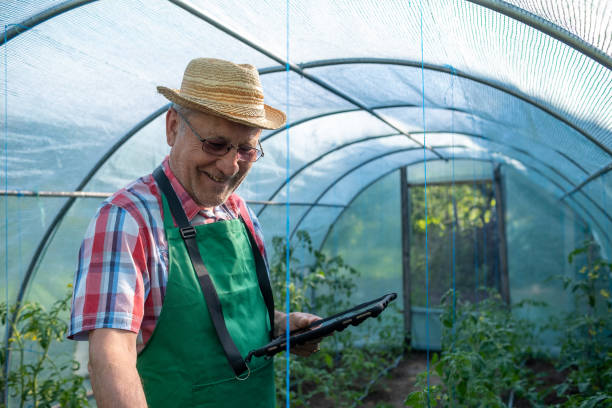 istock An elderly man with a tablet in a greenhouse. 1494634442