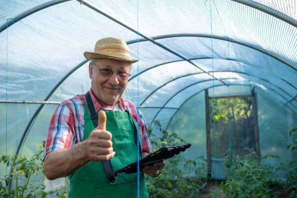 istock An elderly man with a tablet in a greenhouse. 1494634454