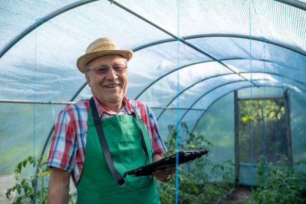 An elderly man with a tablet in a greenhouse.