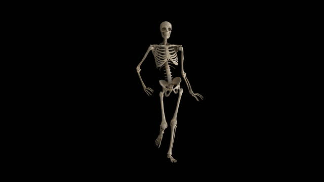 loopable skeleton catwalk