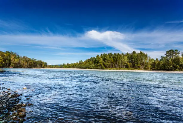 Skykomish River near Monroe, Washington, on a quiet sunny Spring afternoon
